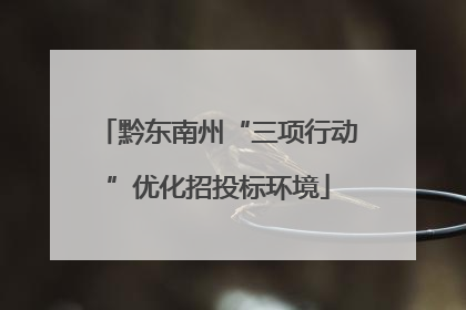 黔东南州“三项行动”优化招投标环境