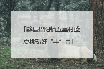 黟县碧阳镇五里村盛夏桃熟好“丰”景