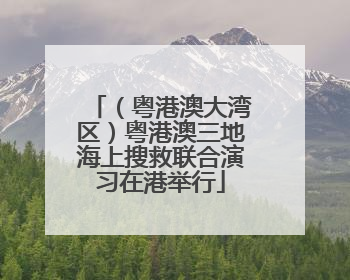 （粤港澳大湾区）粤港澳三地海上搜救联合演习在港举行