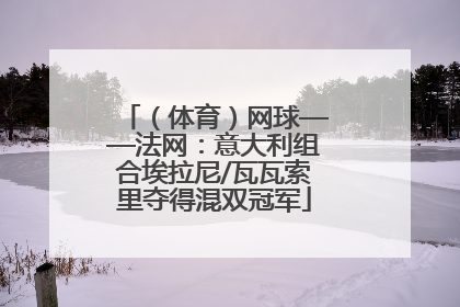 （体育）网球——法网：意大利组合埃拉尼/瓦瓦索里夺得混双冠军