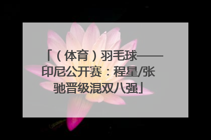 （体育）羽毛球——印尼公开赛：程星/张驰晋级混双八强