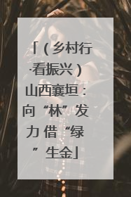 （乡村行·看振兴）山西襄垣：向“林”发力 借“绿”生金