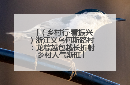 （乡村行·看振兴）浙江义乌何斯路村：龙粽越包越长折射乡村人气渐旺
