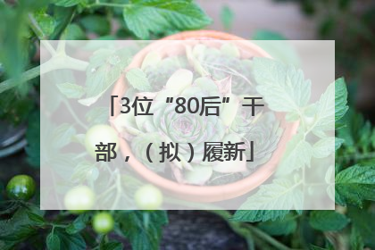 3位“80后”干部，（拟）履新