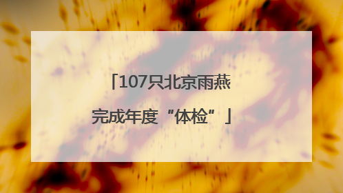 107只北京雨燕完成年度“体检”