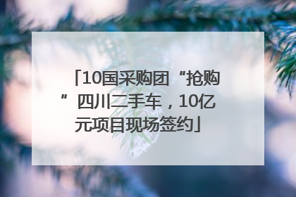 10国采购团“抢购”四川二手车，10亿元项目现场签约