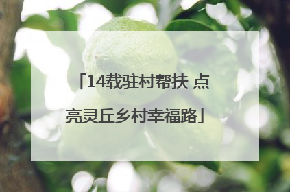 14载驻村帮扶 点亮灵丘乡村幸福路