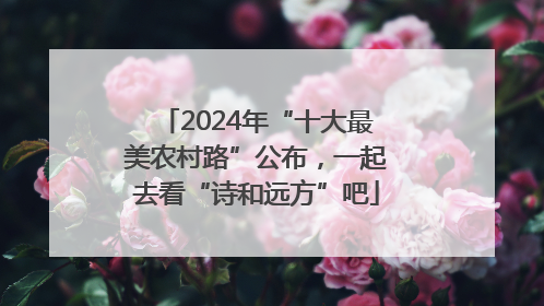2024年“十大最美农村路”公布，一起去看“诗和远方”吧