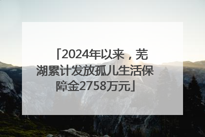 2024年以来，芜湖累计发放孤儿生活保障金2758万元