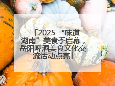 2025 “味道湖南”美食季启幕，岳阳啤酒美食文化交流活动点亮