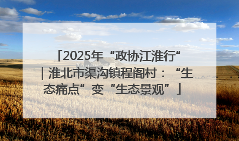 2025年“政协江淮行”｜淮北市渠沟镇程阁村：“生态痛点”变“生态景观”