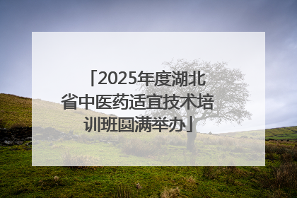 2025年度湖北省中医药适宜技术培训班圆满举办