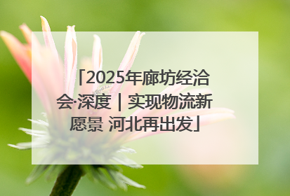 2025年廊坊经洽会·深度｜实现物流新愿景 河北再出发
