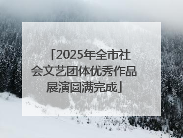 2025年全市社会文艺团体优秀作品展演圆满完成