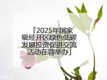 2025年国家级经开区绿色低碳发展投资促进交流活动在蓉举办