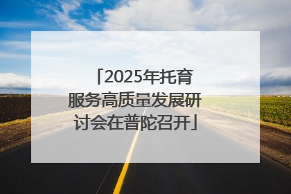 2025年托育服务高质量发展研讨会在普陀召开