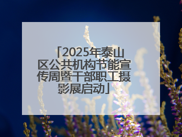 2025年泰山区公共机构节能宣传周暨干部职工摄影展启动