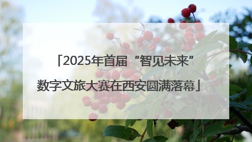 2025年首届“智见未来”数字文旅大赛在西安圆满落幕