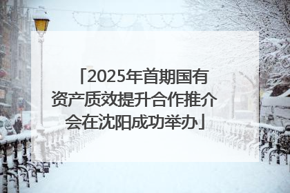 2025年首期国有资产质效提升合作推介会在沈阳成功举办