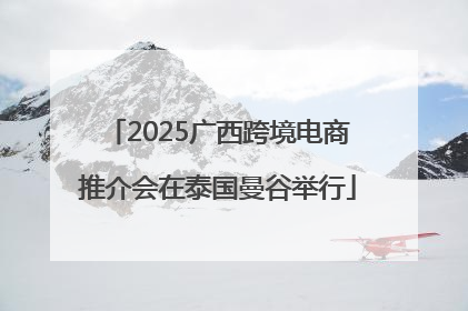 2025广西跨境电商推介会在泰国曼谷举行