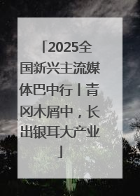 2025全国新兴主流媒体巴中行丨青冈木屑中，长出银耳大产业