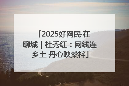 2025好网民·在聊城｜杜秀红：网线连乡土 丹心映桑梓