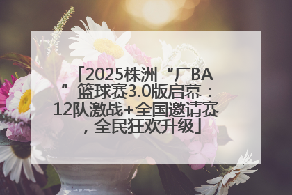 2025株洲“厂BA”篮球赛3.0版启幕：12队激战+全国邀请赛，全民狂欢升级