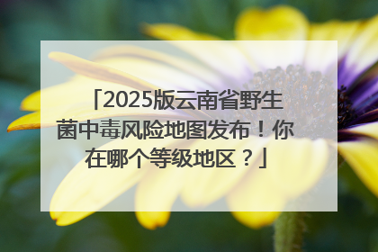2025版云南省野生菌中毒风险地图发布！你在哪个等级地区？