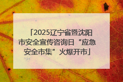 2025辽宁省暨沈阳市安全宣传咨询日“应急安全市集”火爆开市