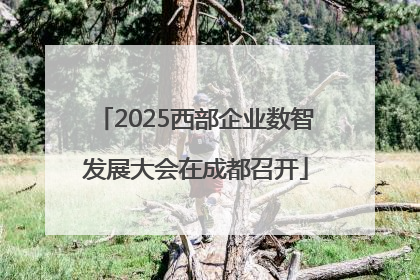 2025西部企业数智发展大会在成都召开