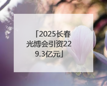 2025长春光博会引资229.3亿元