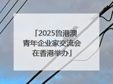2025鲁港澳青年企业家交流会在香港举办