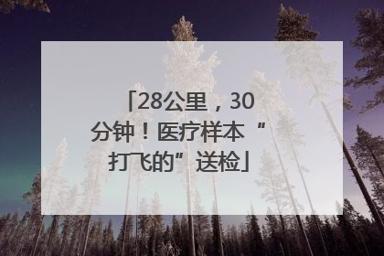 28公里，30分钟！医疗样本“打飞的”送检