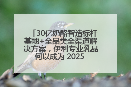 30亿奶酪智造标杆基地+全品类全渠道解决方案，伊利专业乳品何以成为 2025 焙烤展 MV
