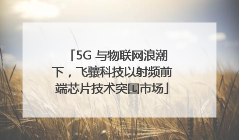 5G 与物联网浪潮下，飞骧科技以射频前端芯片技术突围市场