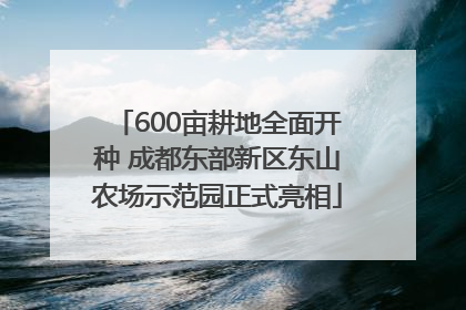 600亩耕地全面开种 成都东部新区东山农场示范园正式亮相