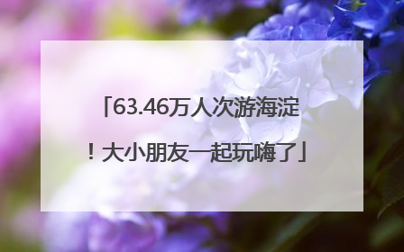 63.46万人次游海淀！大小朋友一起玩嗨了
