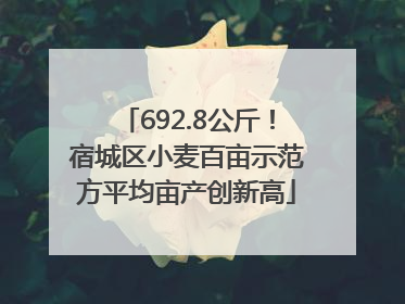 692.8公斤！宿城区小麦百亩示范方平均亩产创新高