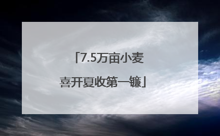 7.5万亩小麦喜开夏收第一镰
