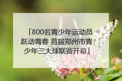 800名青少年运动员跃动青春 首届郑州市青少年三大球联赛开幕