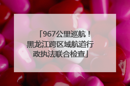 967公里巡航！黑龙江跨区域航道行政执法联合检查