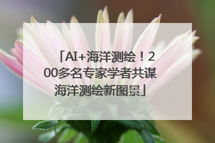 AI+海洋测绘！200多名专家学者共谋海洋测绘新图景