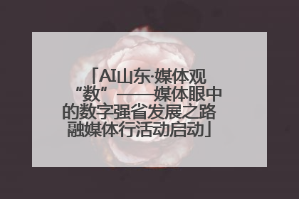 AI山东·媒体观“数”——媒体眼中的数字强省发展之路融媒体行活动启动