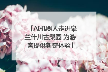 AI机器人走进皋兰什川古梨园 为游客提供新奇体验