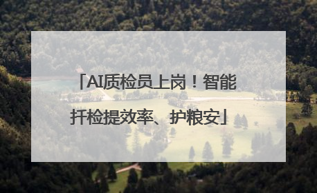 AI质检员上岗！智能扦检提效率、护粮安