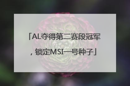 AL夺得第二赛段冠军，锁定MSI一号种子