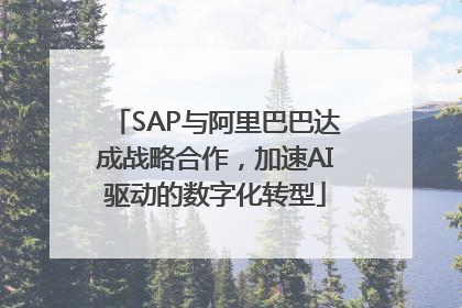 SAP与阿里巴巴达成战略合作，加速AI驱动的数字化转型